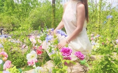 日本无码一区人妻免费视频